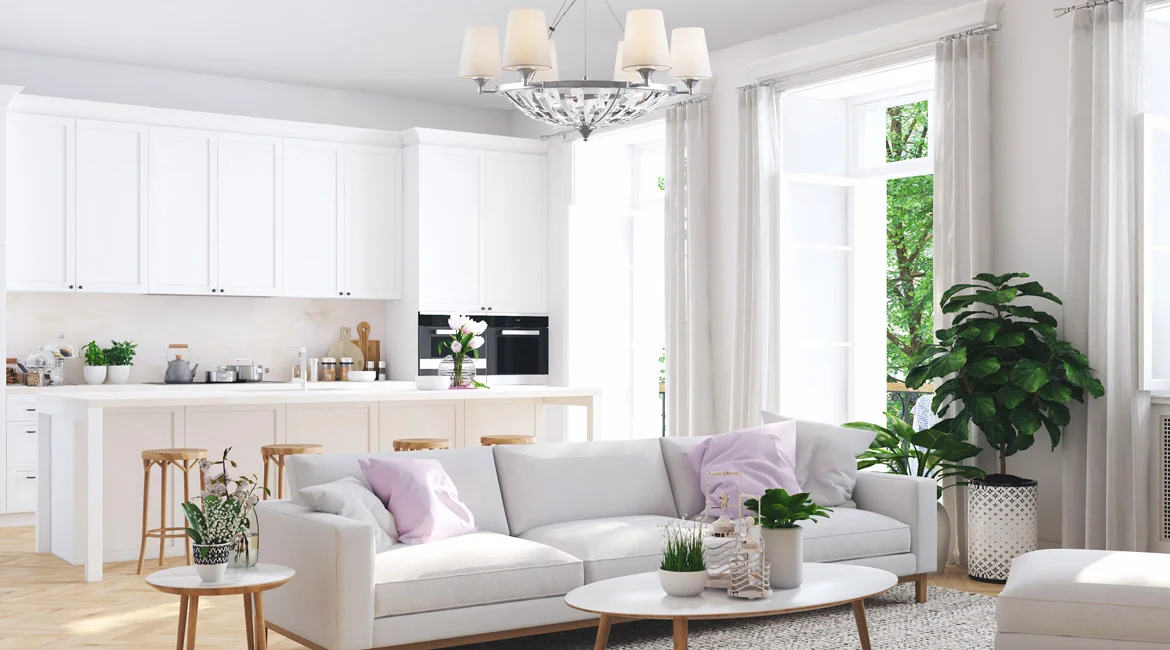 Sitting Room cleaning areas